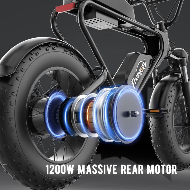 DK200 Electric Bike 1200W Motor 20Ah Battery with 20" x 4" Fat Tire