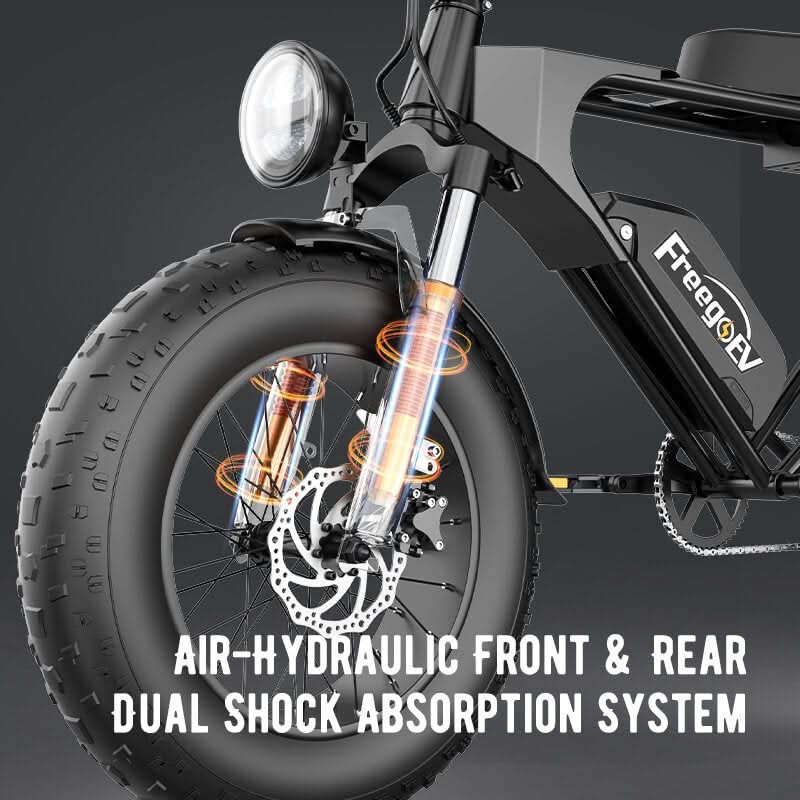 DK200 Electric Bike 1200W Motor 20Ah Battery with 20" x 4" Fat Tire