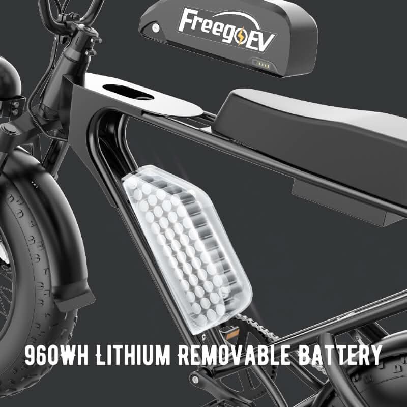 DK200 Electric Bike 1200W Motor 20Ah Battery with 20" x 4" Fat Tire