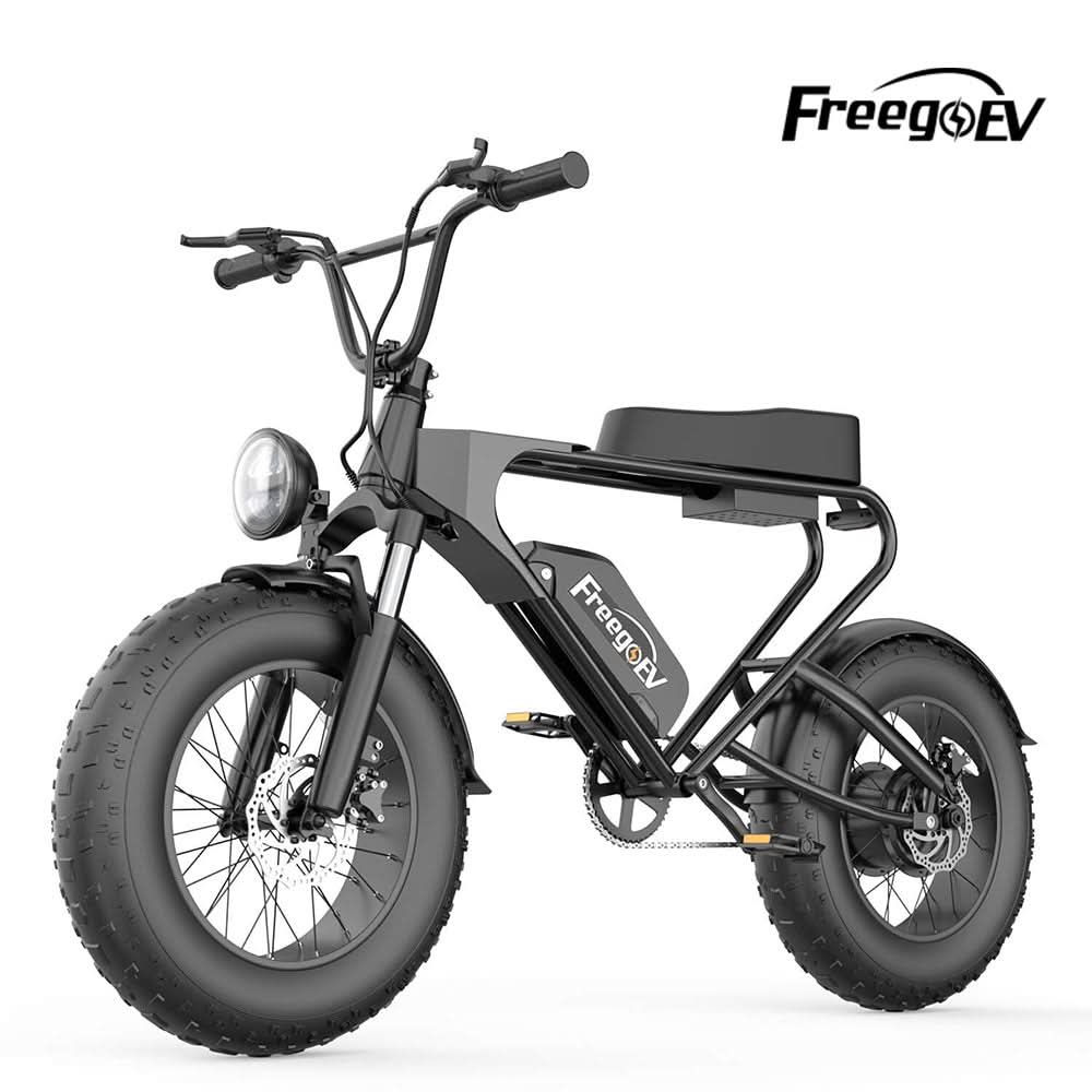 DK200 Electric Bike 1200W Motor 20Ah Battery with 20" x 4" Fat Tire
