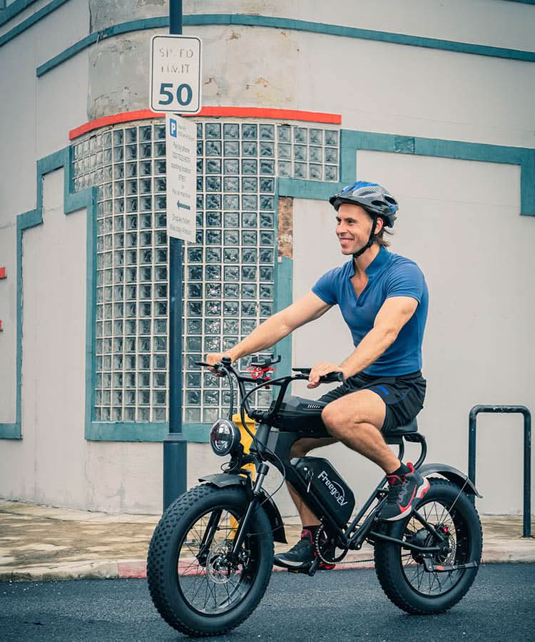 DK200 Electric Bike 1200W Motor 20Ah Battery with 20" x 4" Fat Tire