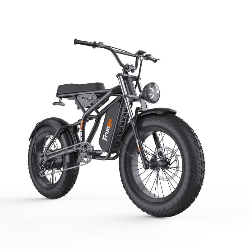 F1 Fat Tires Off Road Electric Bike