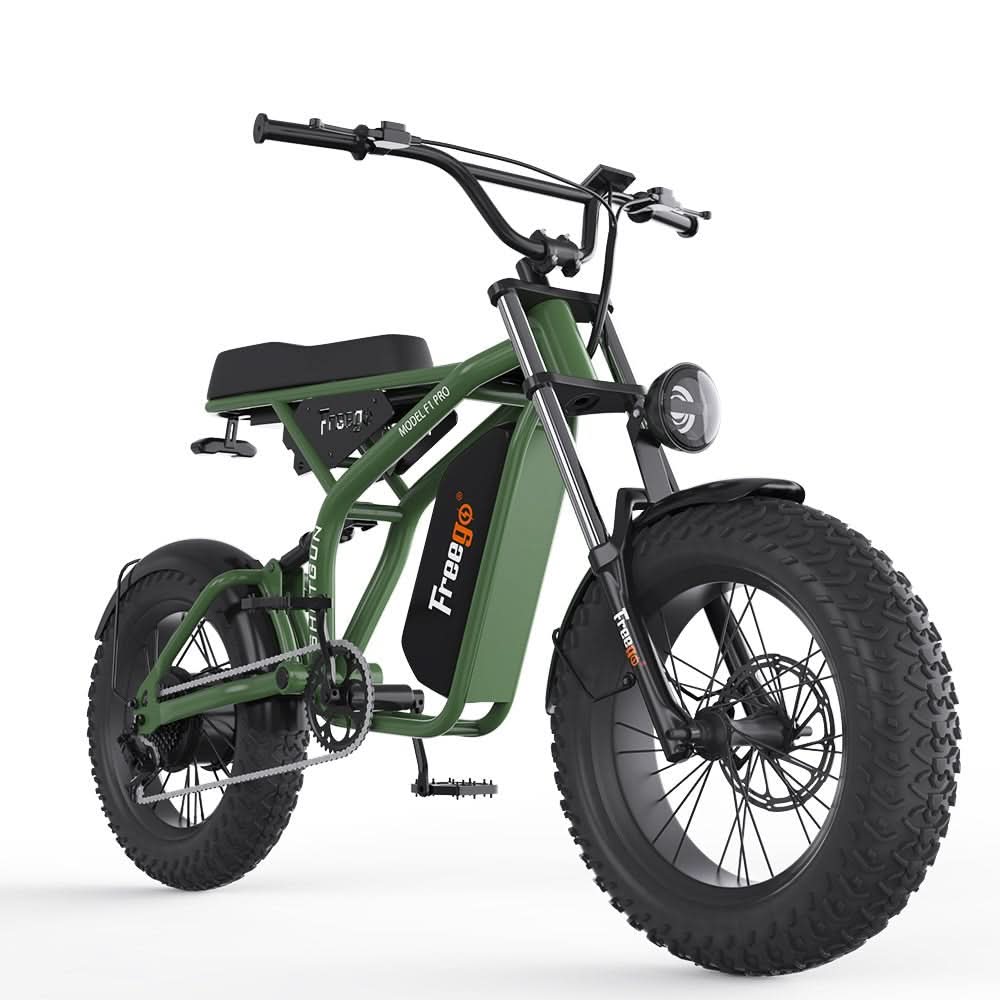 F1 Fat Tires Off Road Electric Bike