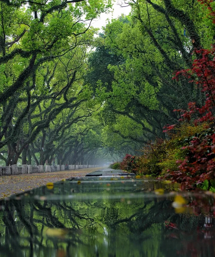 Guilin gems