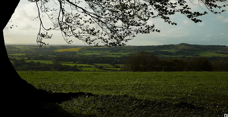 South Downs Way