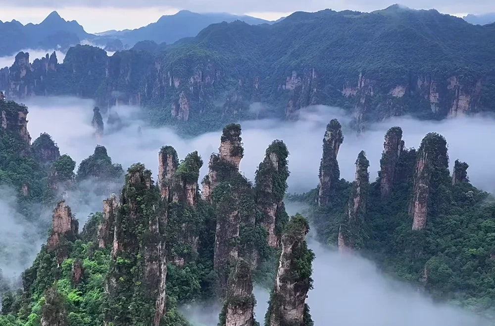 The Best Time to Visit Zhangjiajie