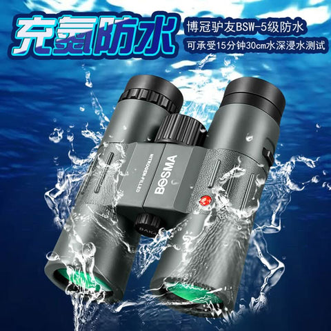 Image of Bosma Eagle 10X42 Binoculars