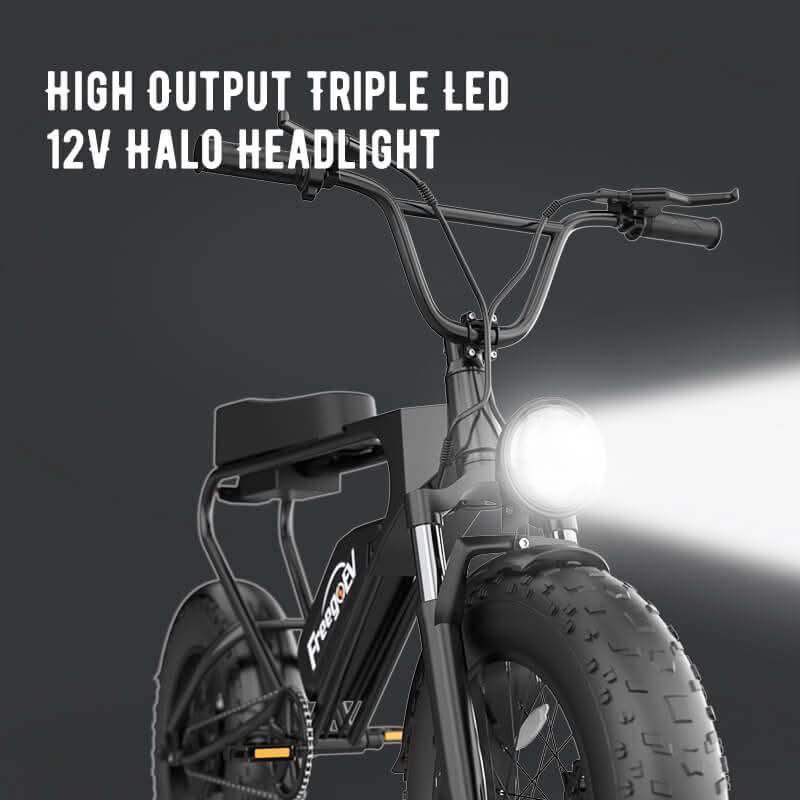 DK200 Electric Bike 1200W Motor 20Ah Battery with 20" x 4" Fat Tire