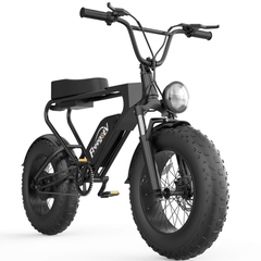 Vélo électrique DK200, moteur 1200 W, batterie 20 Ah, pneus larges 20" x 4" 