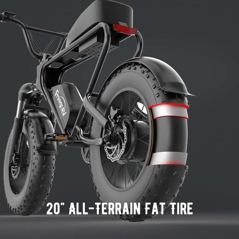 DK200 Electric Bike 1200W Motor 20Ah Battery with 20" x 4" Fat Tire