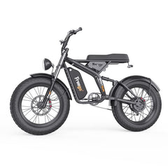 F1 Fat Tires Off Road Electric Bike