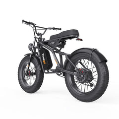 F1 Fat Tires Off Road Electric Bike