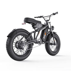 F1 Fat Tires Off Road Electric Bike