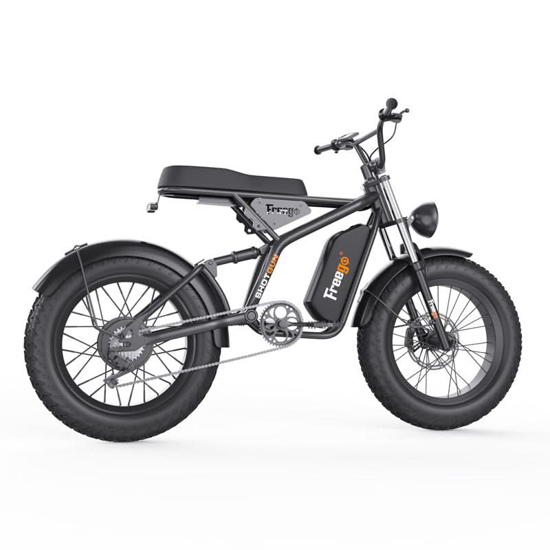 F1 Fat Tires Off Road Electric Bike