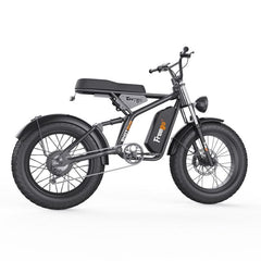 F1 Fat Tires Off Road Electric Bike