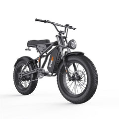 F1 Fat Tires Off Road Electric Bike