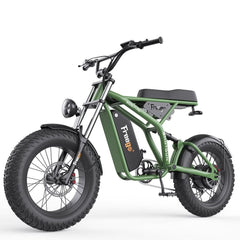 F1 Fat Tires Off Road Electric Bike