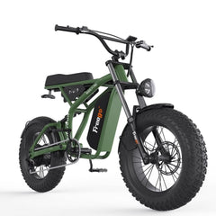 F1 Fat Tires Off Road Electric Bike