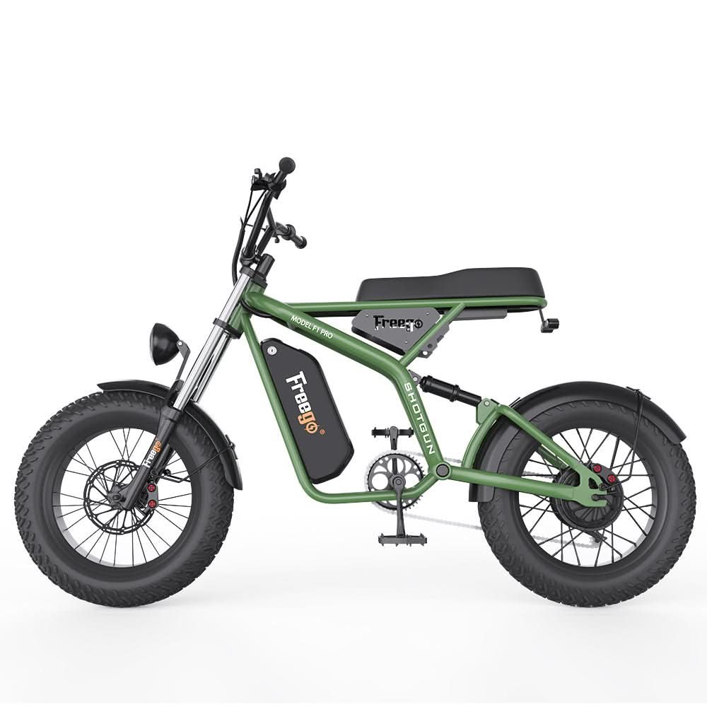 F1 Fat Tires Off Road Electric Bike