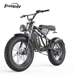 F1 Fat Tires Off Road Electric Bike