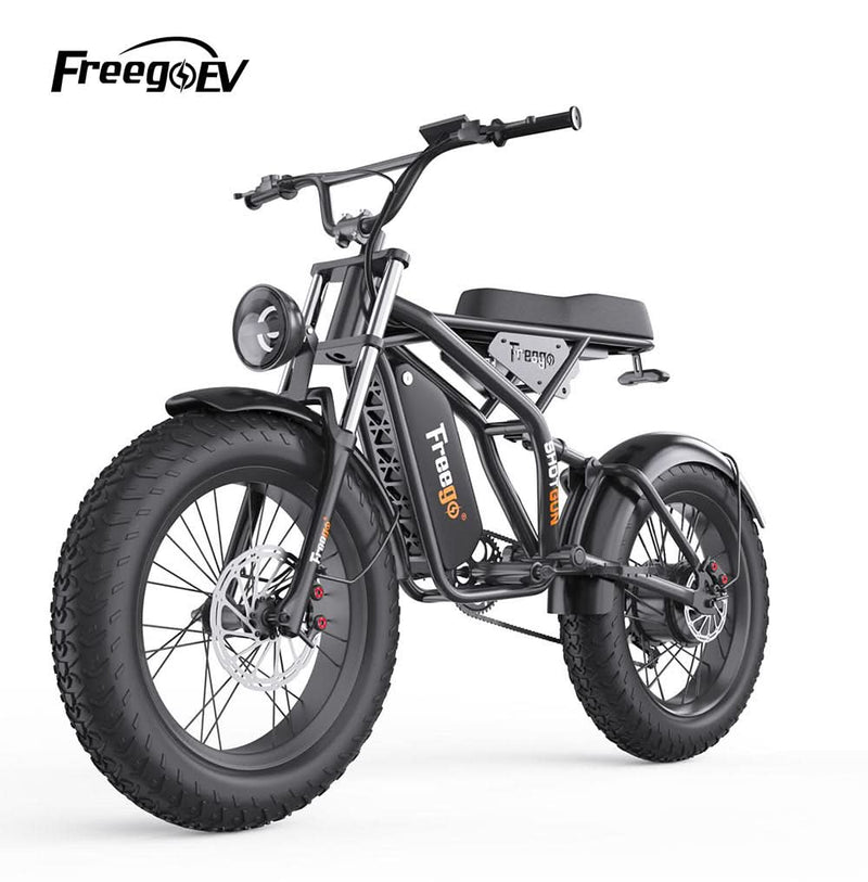 F1 Fat Tires Off Road Electric Bike